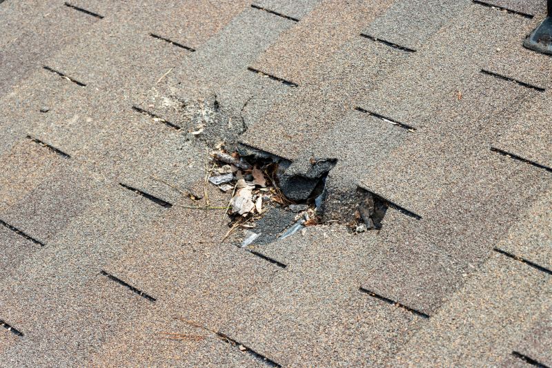 Damaged Roof Replacement in Oxford, CT